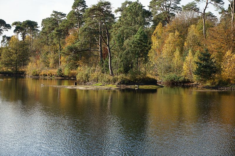 Oisterwijk 1.JPG - Oisterwijk